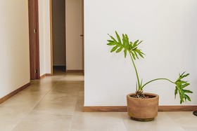 Blue Pepper Premium Rooms