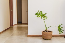 Blue Pepper Premium Rooms
