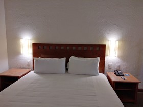 Camino Real Guadalajara