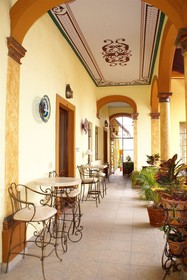 Casa Alebrijes Gay Hotel