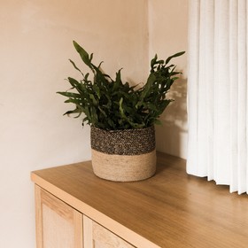 Casa Montore Boutique Hotel