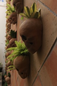 Casa Morelos