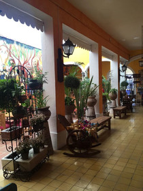 Casona Tlaquepaque Temazcal & Spa