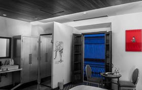 Del Carmen Concept