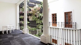Del Carmen Concept