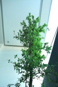 Departamento Céntrico Guadalajara