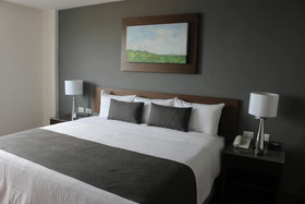 Eco Hotel Guadalajara Expo