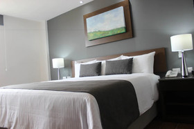 Eco Hotel Guadalajara Expo