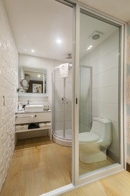 FCH Hotel Providencia