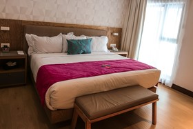 FCH Hotel Providencia