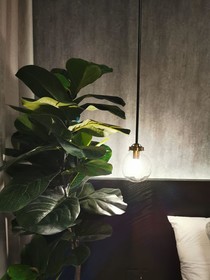 Fulton Business Luxury Hotel