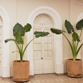 Grand Isitia Hostel
