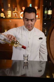 Guadalajara Plaza Expo Business Class