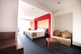Holiday Inn Express Guadalajara Expo
