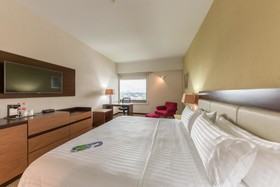 Holiday Inn Select Guadalajara