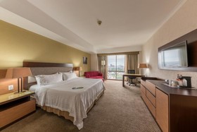 Holiday Inn Select Guadalajara