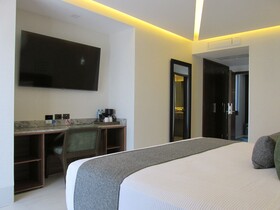 Hotel Antre Chapultepec