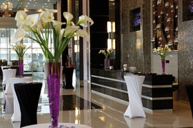 Hotel Riu Plaza Guadalajara