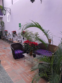 Olga Querida Hostal