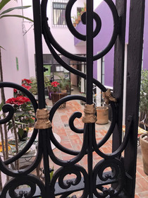 Olga Querida Hostal