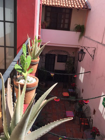Olga Querida Hostal