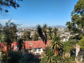 Radisson Tapatío Guadalajara Hotel