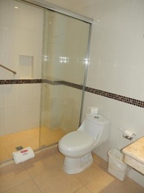 Hotel Roma Guadalajara