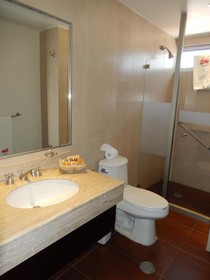 Hotel Roma Guadalajara
