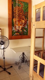 The Roof Backpackers Hostel