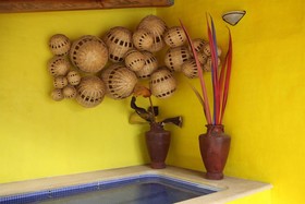 Las Jaras Aguas Termales