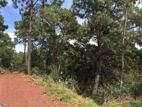 Bellavista Cabanas