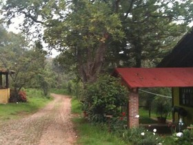 Cabanas El Paraiso De Las Ranas