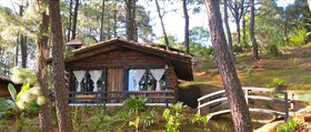 Monteverde Hotel De Cabañas