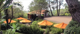 Monteverde Hotel De Cabañas