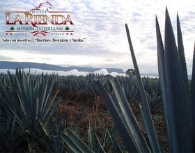Hotel La Rienda Misión Tequillan