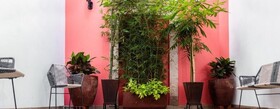 Hotel Nueve Agaves