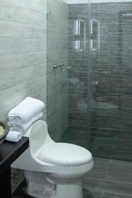 Hotel Nueve Agaves