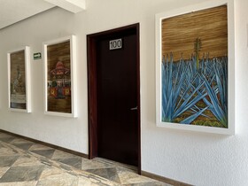 Hotel Nueve Agaves