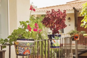 Alcazar Suites