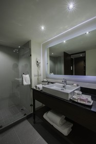 Holiday Inn Guadalajara Expo