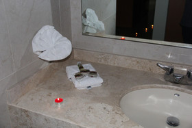 Hotel Real Zapopan