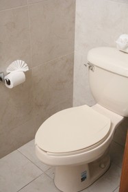 Hotel Real Zapopan