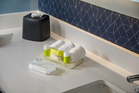 Holiday Inn & Suites Aguascalientes