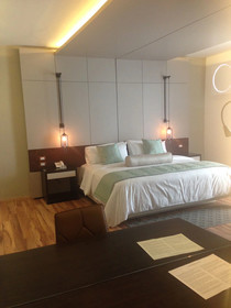Hotel Alesia