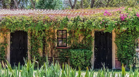 Hacienda El Carmen Hotel & Spa