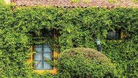 Hacienda El Carmen Hotel & Spa