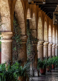 Hacienda El Carmen Hotel & Spa