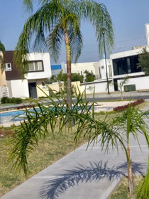 Casa Completa Dreams Lagoons