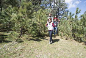 Bosques De Monterreal