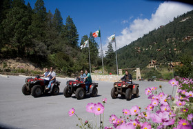 Bosques De Monterreal